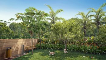 Área pet com gramado, árvores, bebedouro, banco e dois cães brincando ao ar livre.